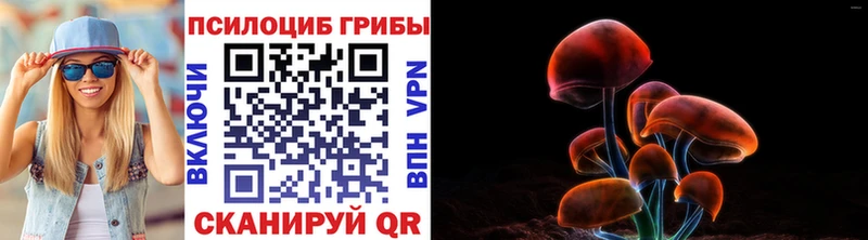купить наркоту  Елизово  Галлюциногенные грибы прущие грибы 