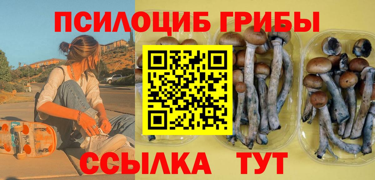 Галлюциногенные грибы ЛСД  Вход с VPN  Елизово  Галлюциногенные грибы прущие грибы 